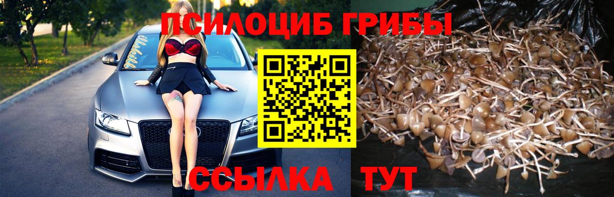 Псилоцибиновые грибы ЛСД  Вход с VPN  Галлюциногенные грибы Cubensis  Валуйки 